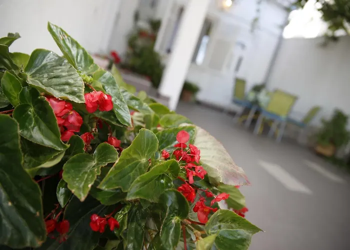 Lambasa * فوديس