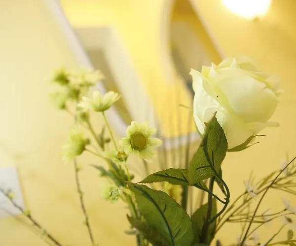 Lambasa * فوديس